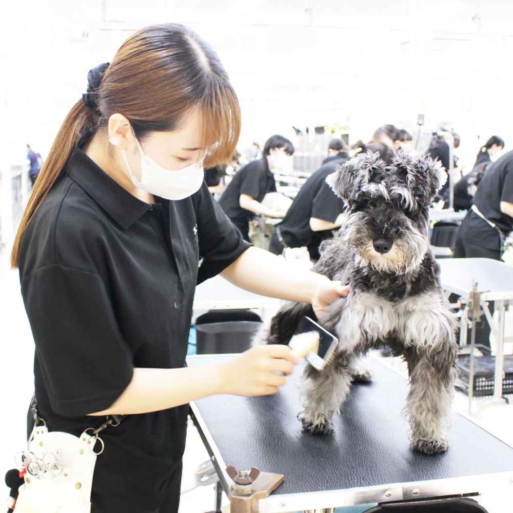 ☆1年生のトリミング実習☆